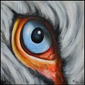 Augenblick eines Krauskopfpelikans Acryl auf Leinwand;
30 x 30 cm